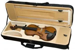 Hora HPVC Professional Кейс для скрипки.