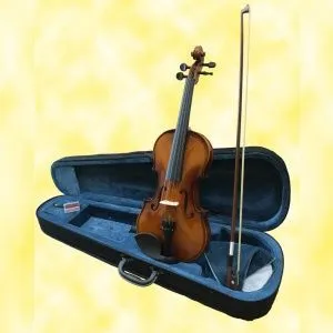 Brahner BV-400 1/2 Скрипка в комплекте: кейс, смычок, канифоль.
