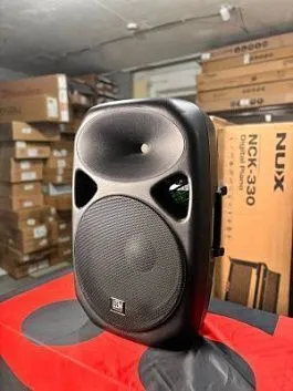 Leem SPA-15 Уценка - Активная акустическая система. Битый корпус.