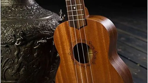 Flight NUS310 Укулеле.