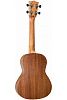 Flight NUC310 Укулеле концерт-8
