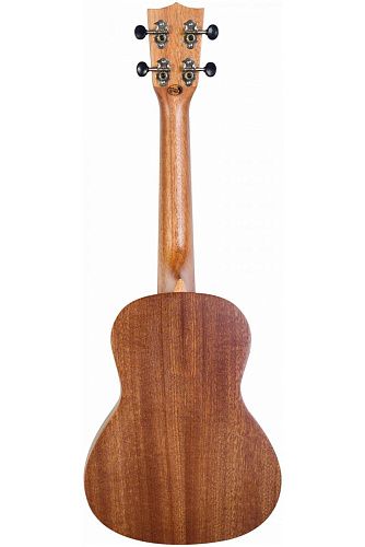 Flight NUC310 Укулеле концерт