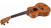 Flight NUC310 Укулеле концерт-5