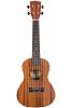 Flight NUC310 Укулеле концерт-6
